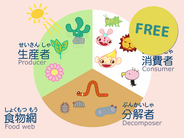 食物連鎖