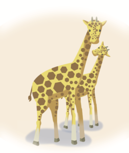 giraffes