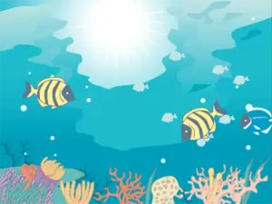 探究学習テーマ：サンゴ礁