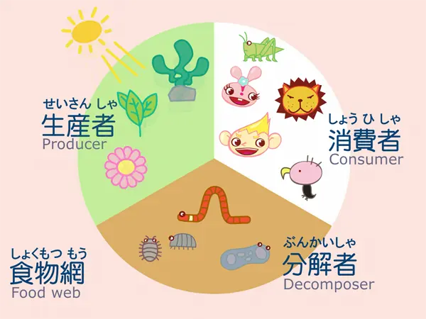 食物連鎖