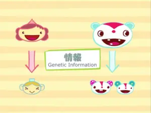 探究学習テーマ：ヒトノゲム