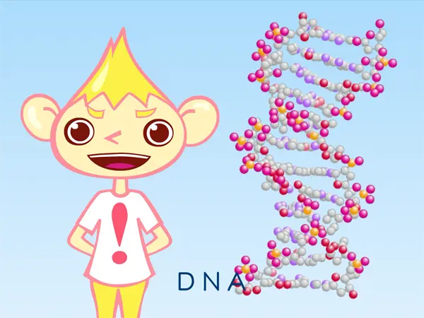 DNA